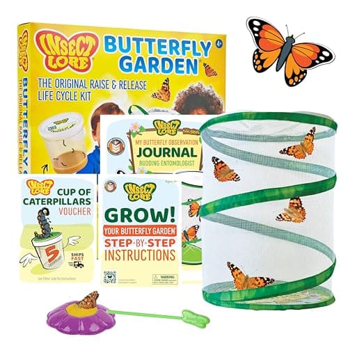 Insect Lore Raise and Release Butterfly Garden Kit – Caterpillar Habitat with redeemable Voucher – STEM-accredited Butterfly Growing Kit for Kids, Classrooms, and Homeschool Learning