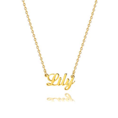 M MOOHAM Customized Lily Name Necklace - 18K Gold Filled Custom Name Necklace Personalized Name Necklaces for Women s, Monogram Plate Name Necklace Name Jewelry