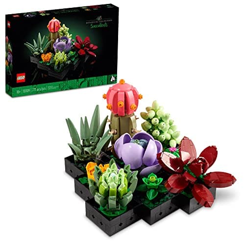 Set of Succulents