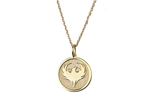 14k Gold Phoenix Necklace, Personalized Phoenix Pendant, Phoenix Jewelry, Strength & Renewal Symbol, Necklace for Women, Gold Jewelry Gift