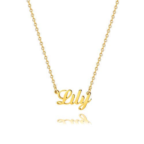 M MOOHAM Customized Lily Name Necklace - 18K Gold Filled Custom Name Necklace Personalized Name Necklaces for Women Gal Gals, Monogram Plate Name Necklace Name Jewelry