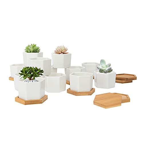 Warmplus White Succulent Hexagon Planter Pots - 2.75 Inch Mini Ceramic Cactus Holder Container with Bamboo Tray for Home Office Table Desk Decoration, Set of 12, (Plants Not Included)