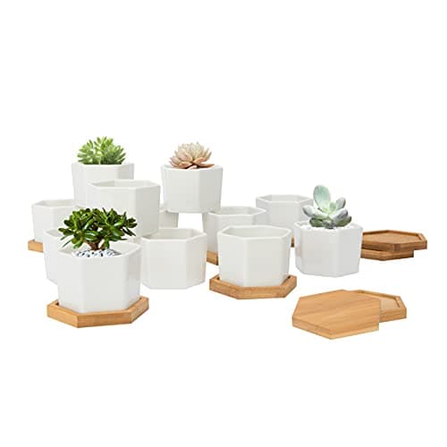 Warmplus White Succulent Hexagon Planter Pots - 2.75 Inch Mini Ceramic Cactus Holder Container with Bamboo Tray for Home Office Table Desk Decoration, Set of 12, (Plants Not Included)