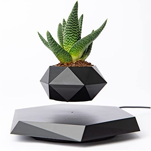 BandD Levitating Plant Pot - Floating Plant Pot for Small Plants. Levitating Decor for Home & Office Magnetic Floating Levitating Display (Black)