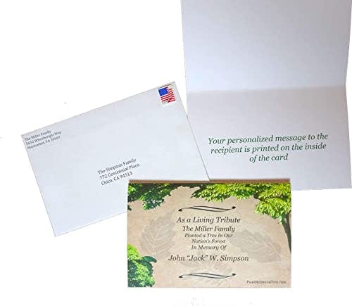 Plant a Tree in Memory for Someone in Our National Forest | Includes a Personalized Mailed Condolence Card (1 Tree)