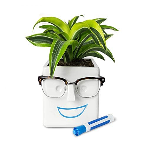 30 Watt Face Plant, Novelty Planter Holds Small Plants, Glasses & You Can Draw on It. Elegant Ceramic Pot for Succulents, Cacti or Your Average Fern, Perfect Gifting