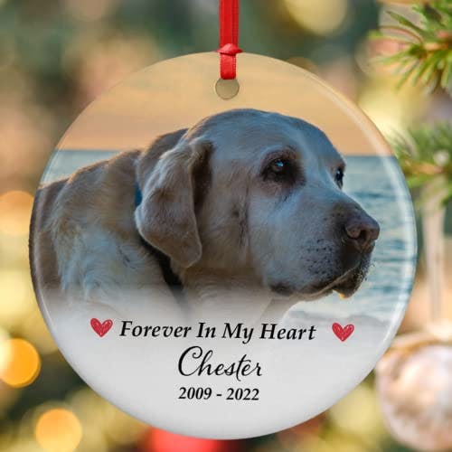 Personalized Pet Memorial Photo Ornament - Forever in Our Hearts - 5 Designs for Dogs and Cats - In Loving Memory Keepsake Gift