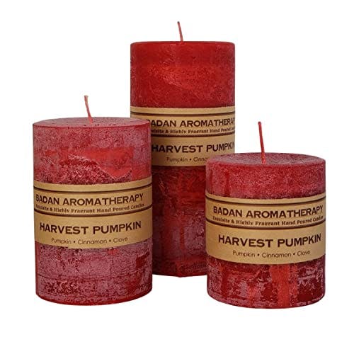 Harvest Pumpkin Spice Cinnamon Clove Scented Pillar Candle Set (3 Piece Set, Rustic, Red)