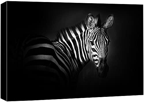 NWT Canvas Print Wall Art Portrait of Zebra Animals Wildlife Photography Realism Minimalist Closeup Relax/Calm Dark Black and White for Living Room, Bedroom, Office - 24"x36"
