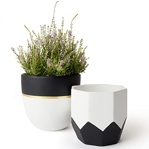 LA JOLIE MUSE Ceramic Plant Flower Pots Indoor - 6.3 + 5 Inch Modern White Geometric Octagon & Round Orchid Cactus Herb Planter Pots for Home Decor, Matte Finish