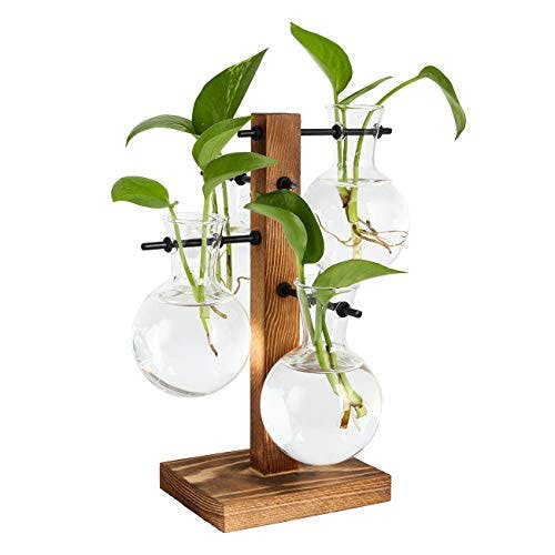 PAG Plant Terrariums Kit Desktop Hydroponics Air Planter Holder with 4 Bulb Beaker Glass Vase and Solid Wood Stand for Home Office Decoration Gift for Women