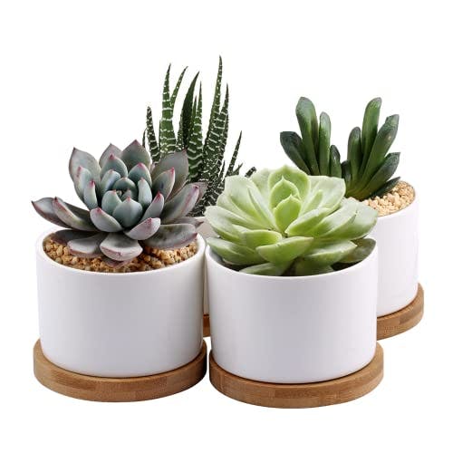 ZOUTOG Succulent Planter, White Mini 3.15 inch Ceramic Flower Planter Pot with Bamboo Tray, Pack of 4 - Plants Not Included