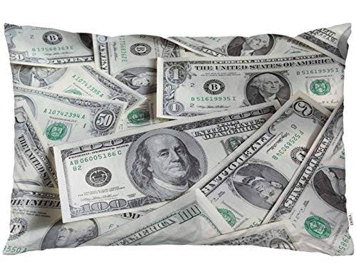EKOBLA Throw Pillow Cover US Dollar Currency Money Pattern Funny Money Bills Hundreds of Dollars Fashion Style Decor Lumbar Pillow Case Cushion for Sofa Couch Bed Standard Queen Size 20x30 Inch
