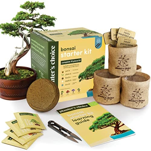 Bonsai Starter Kit - Gardening Gift for Women & Men - Bonsai Tree Growing Garden Crafts Hobby Kits for Adults, Unique DIY Hobbies for Plant Lovers - Unusual Christmas Gifts Ideas - or Gardener Mother