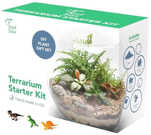 Root Box™ Large Terrarium Kit in Scented giftbox | Supplies for Glass Container terrariums | Suitable for Various Plants for Your own Slice of Science Creativity | Suitable for Adults and Kids