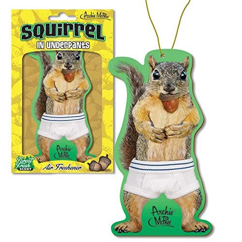 Mcphee Squirrel Standing in Underwear Funny Air Freshener