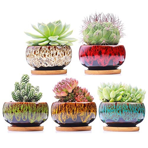 LAMDAWN Cute Ceramic Succulent Garden Pots, Planter with Drainage and Attached Saucer, Set of 5 -Plants Not Included (Round)