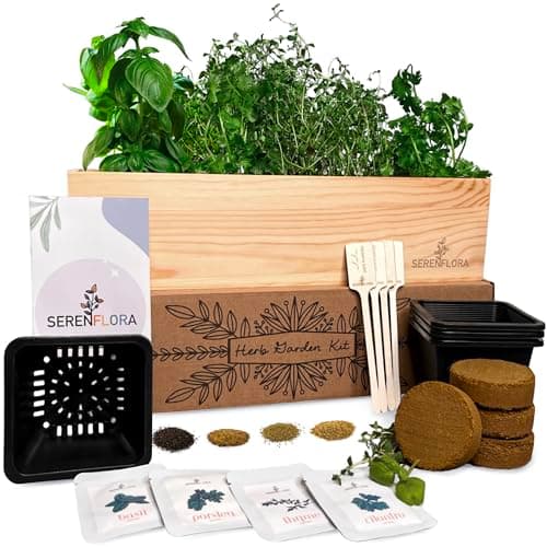 Indoor Herb Garden Kit, 4 Non-GMO Seeds with Reusable Pots, Planter – Wood Planting Box for Kitchen Windowsill with Basil, Parsley, Cilantro, Thyme - Easy DIY Indoor Plant Starter Gifts