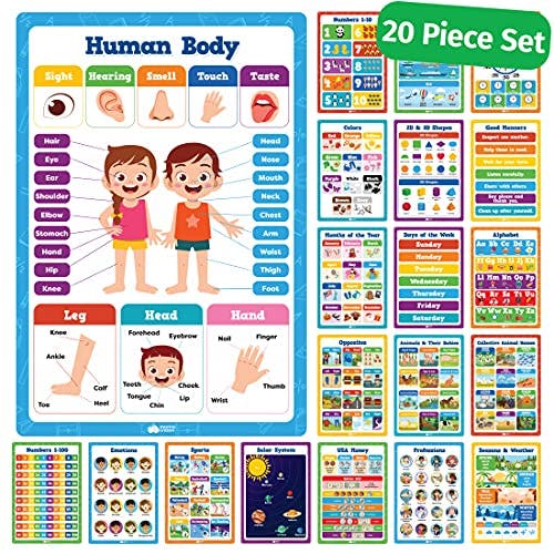 20 Classroom Educational Posters For Preschoolers Toddlers Kindergarten Elementary - 16" x 11" - 20pcs - Learning Posters For Wall