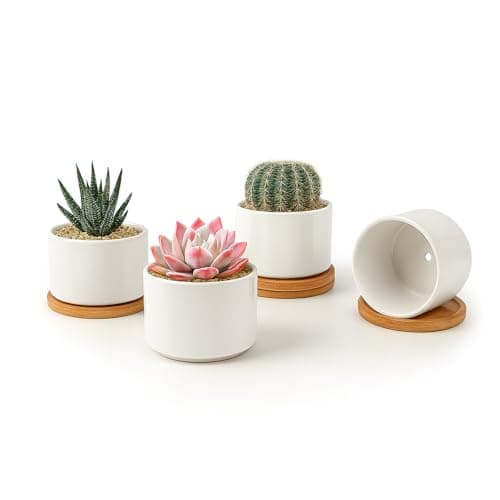 ZOUTOG Succulent Pots 3.15 Inch,4 Pack Succulent Planters,Small Pots for Plants with Drainage and Tray,White Ceramic Flower Planters for Indoor Plants,Home,Office,Desk